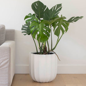 ALTA (set of 3 pots)