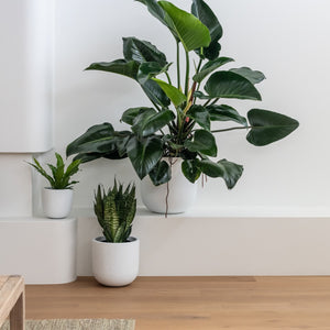 OSLO (set of 3 pots)