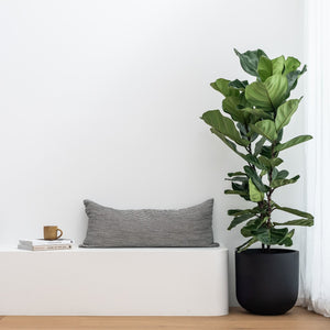 OSLO (set of 3 pots)