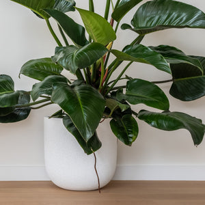 OSLO (set of 3 pots)