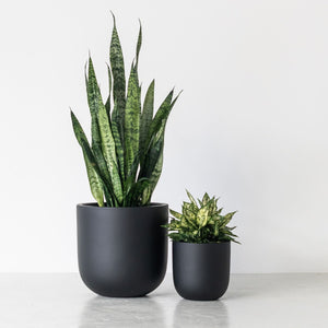 OSLO (set of 2 pots)