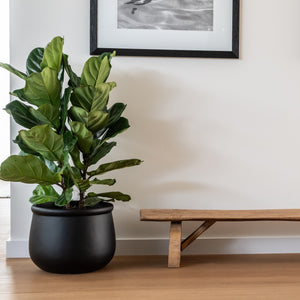 LULU (set of 2 pots)