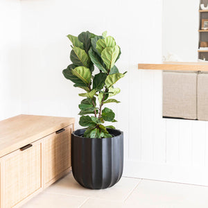 ALTA (set of 3 pots)