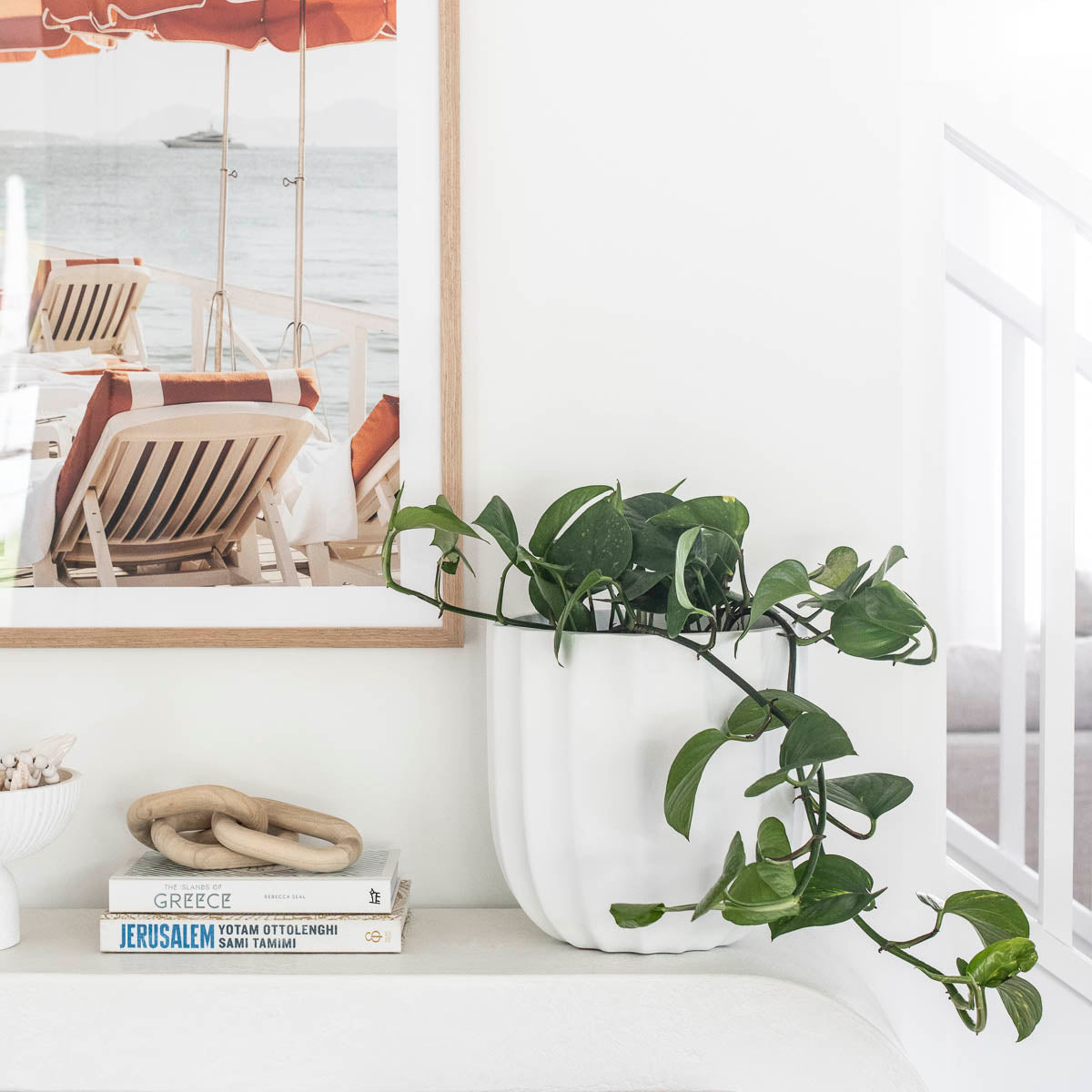 Spring Refresh - Our top plant picks to refresh your indoor plant collection.