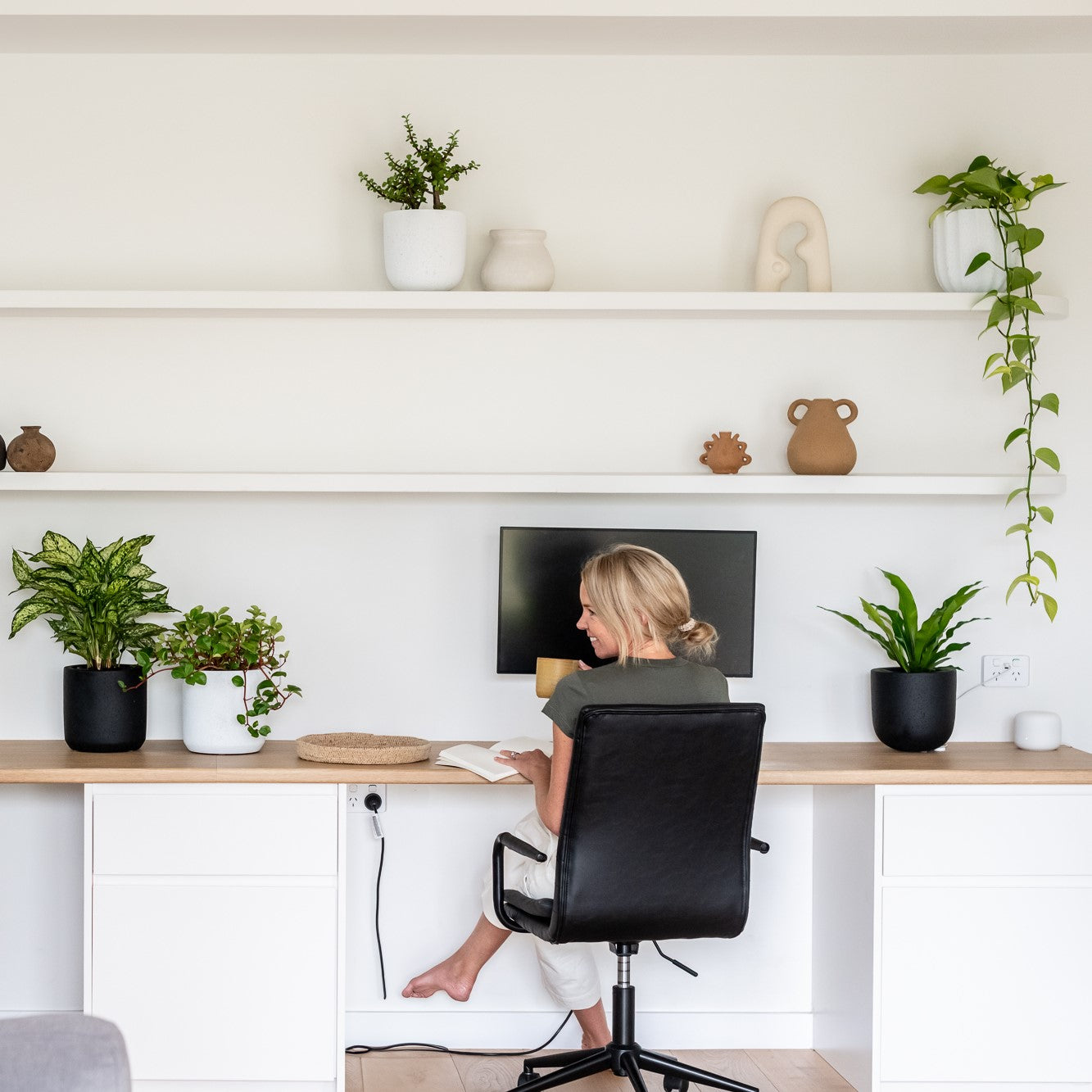 The Best Indoor Plants for a Small Home Office