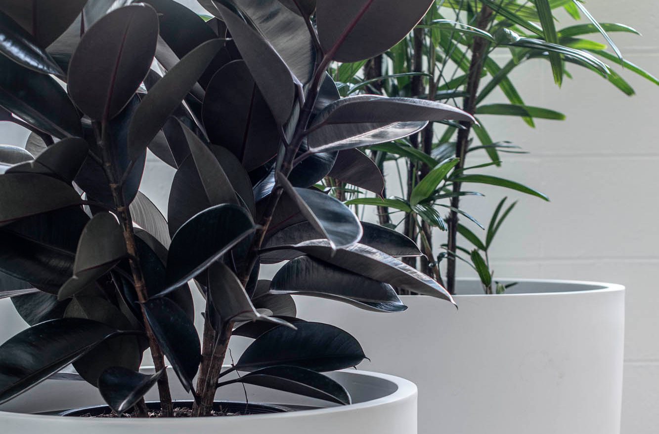 Smart Indoor Pots