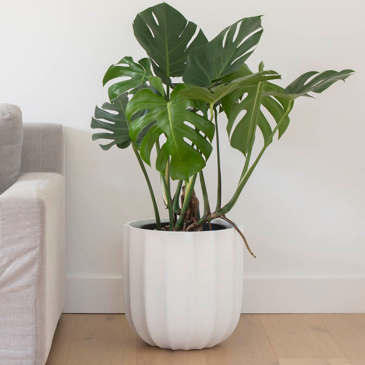 ALTA (set of 3 pots)