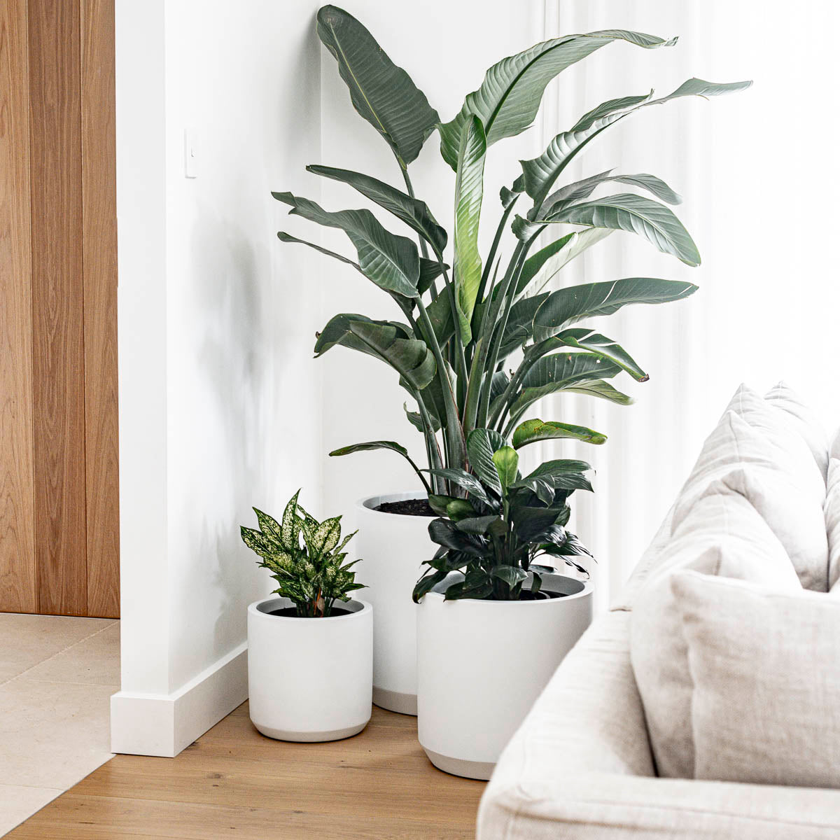 TOKO (Set of 3 pots)