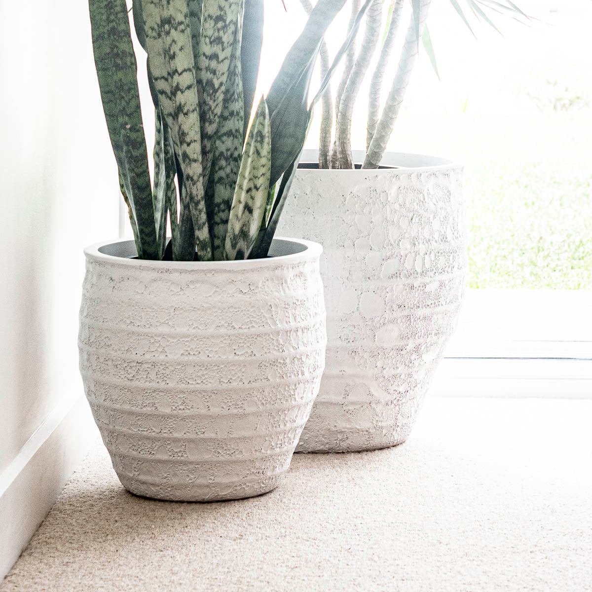 BAJA (set of 2 pots)