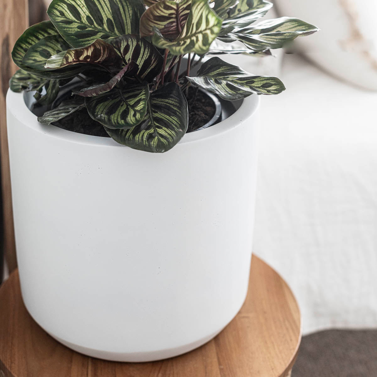 TOKO (Set of 3 pots)