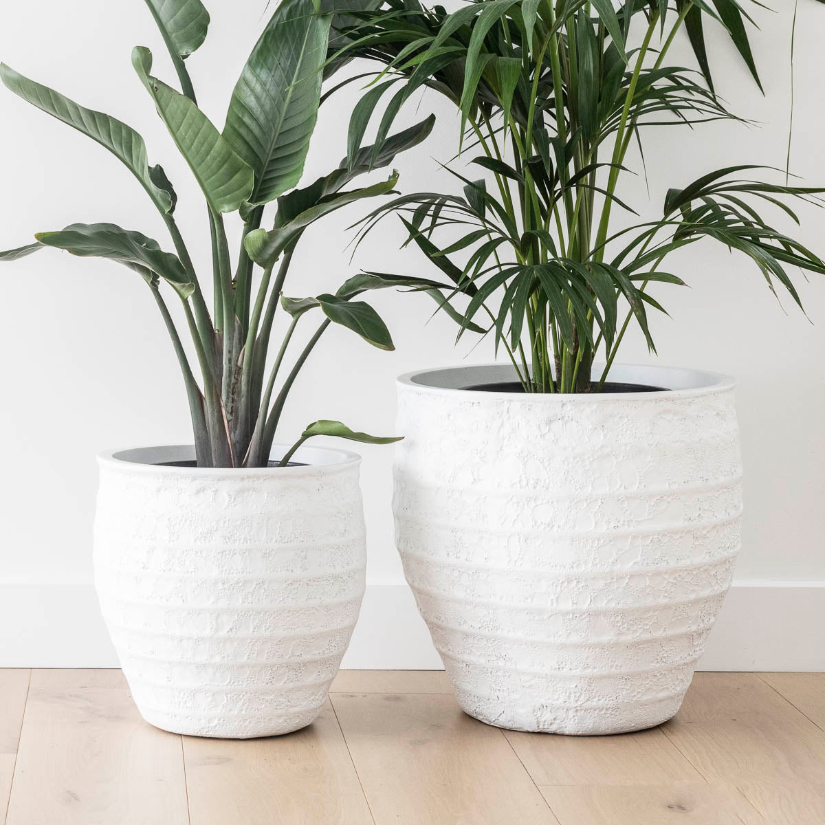 BAJA (set of 2 pots)
