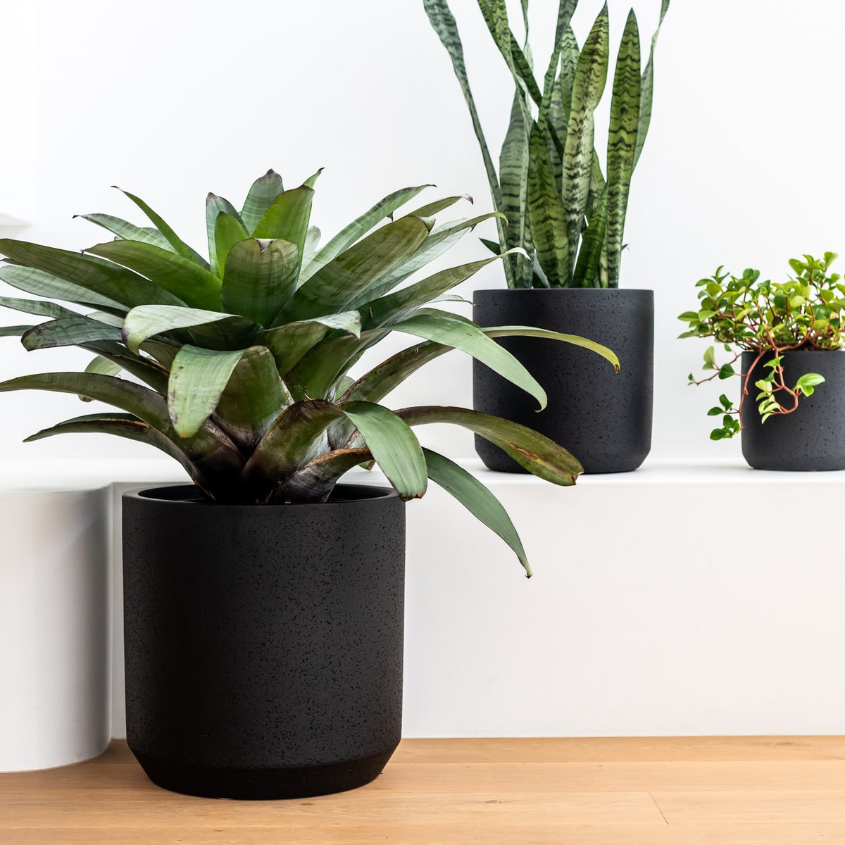 TOKO (Set of 3 pots)