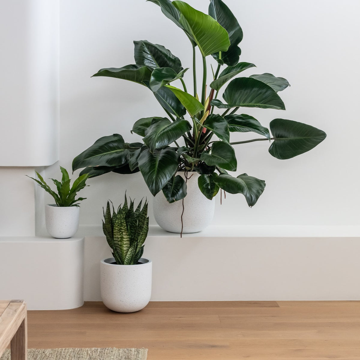 OSLO (set of 3 pots)