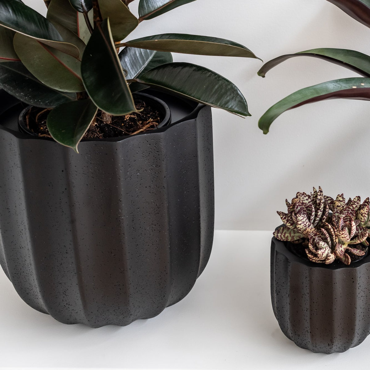 ALTA (set of 3 pots)