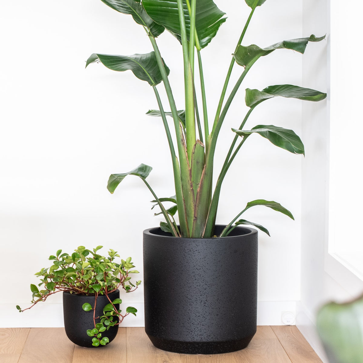 TOKO (Set of 3 pots)