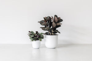 OSLO (set of 2 pots)