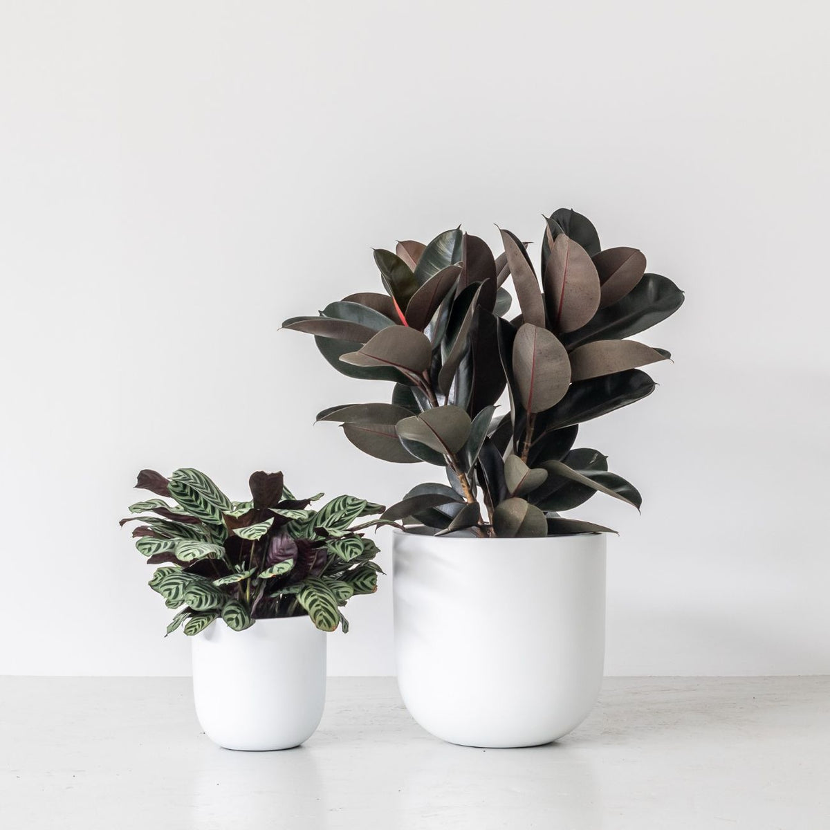 OSLO (set of 2 pots)