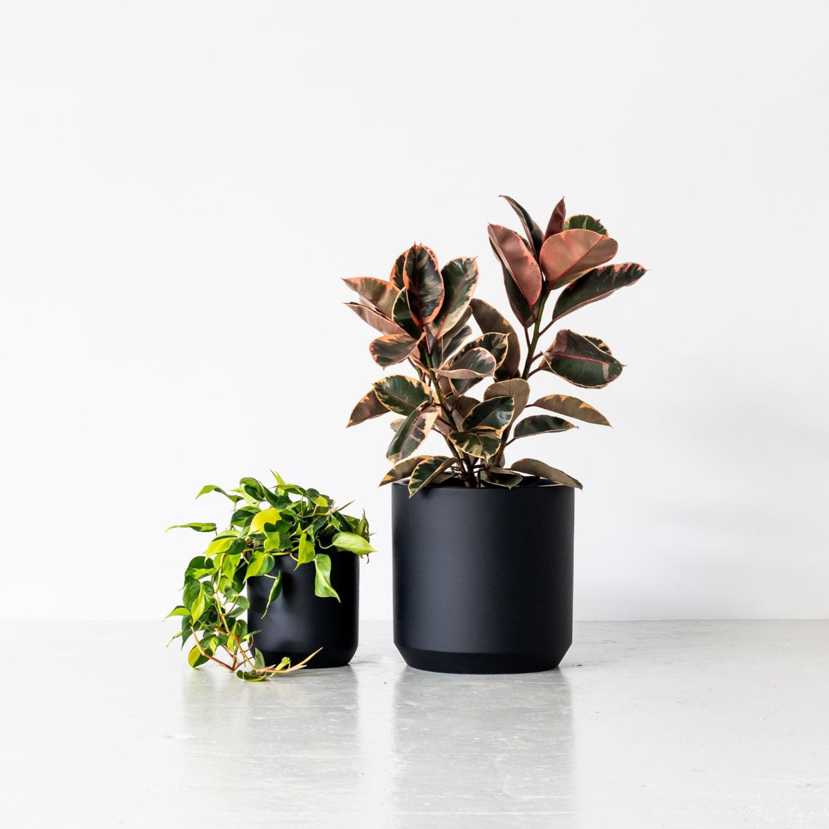 TOKO (Set of 2 pots)