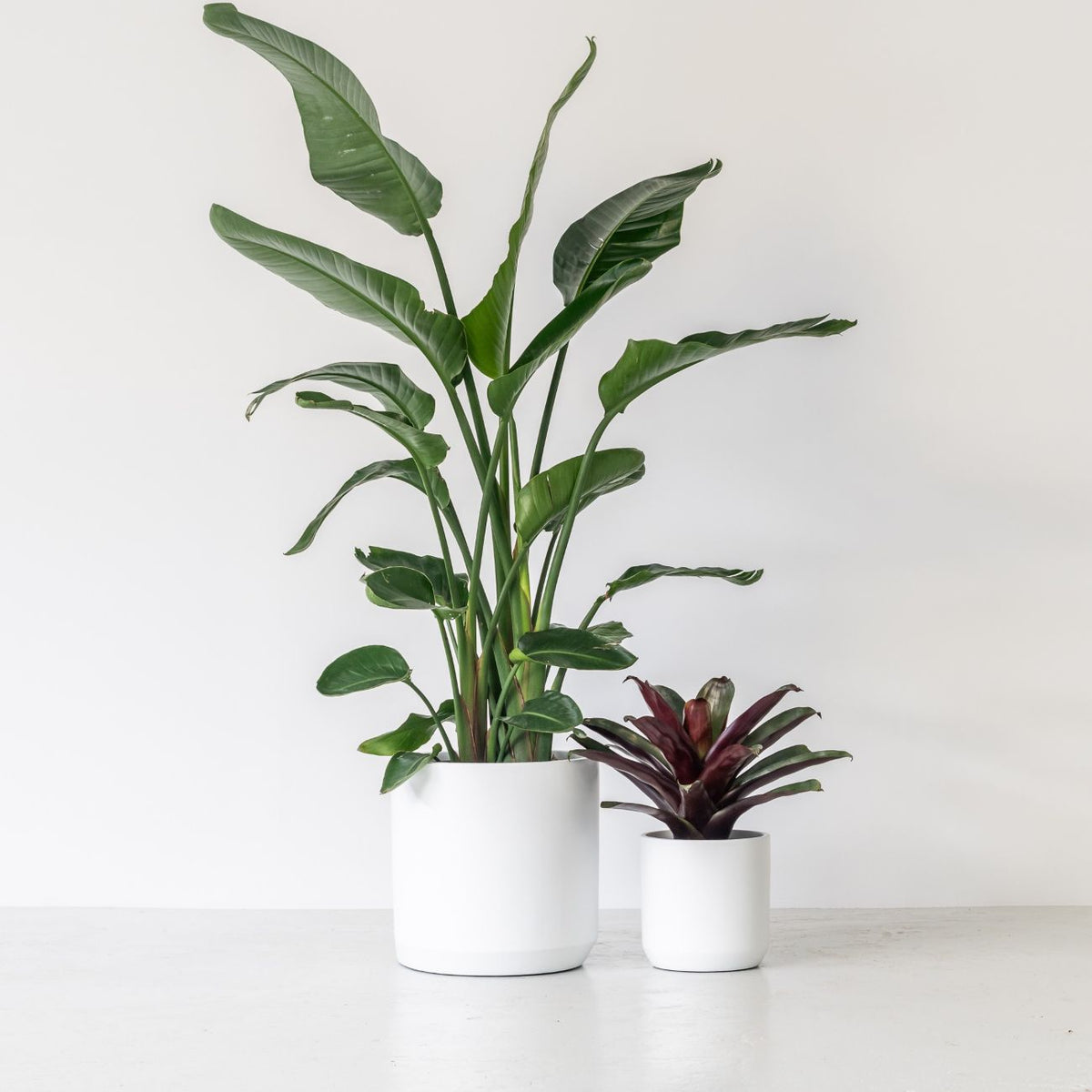 TOKO (Set of 2 pots)