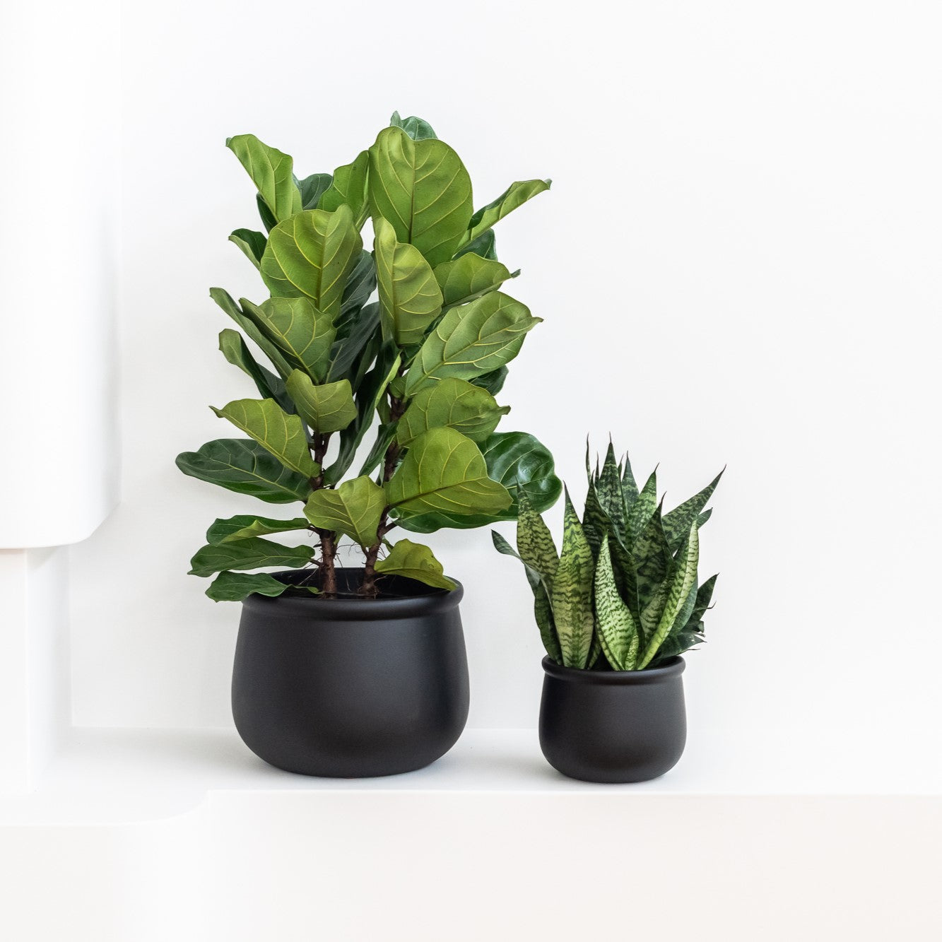 LULU (set of 2 pots)