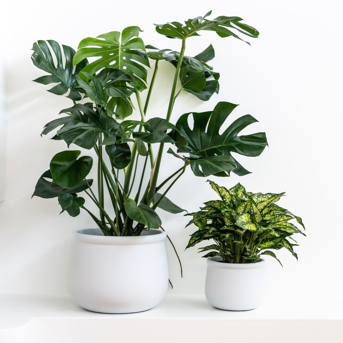LULU (set of 2 pots)