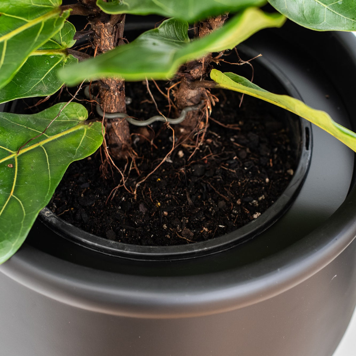 LULU (set of 2 pots)