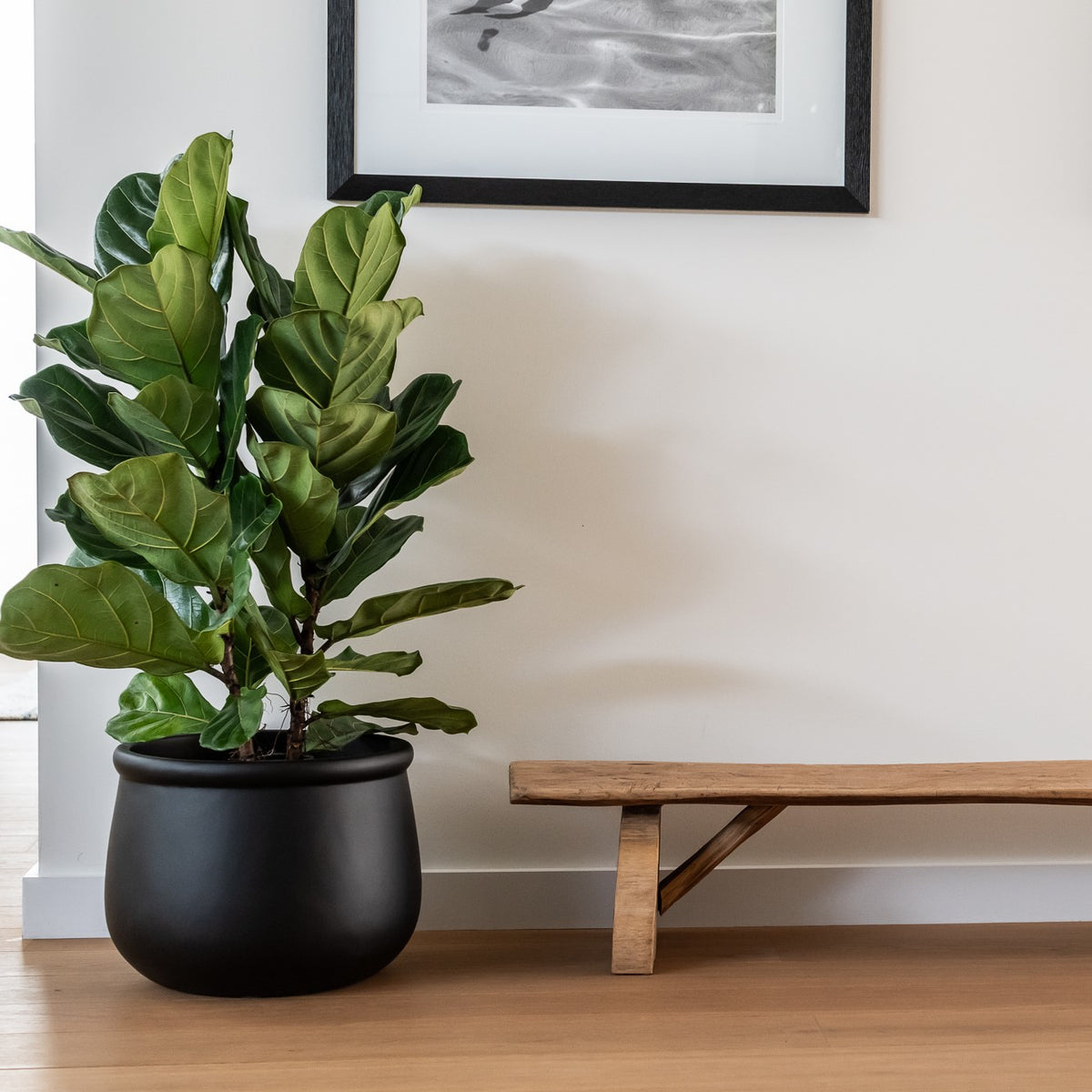 LULU (set of 2 pots)