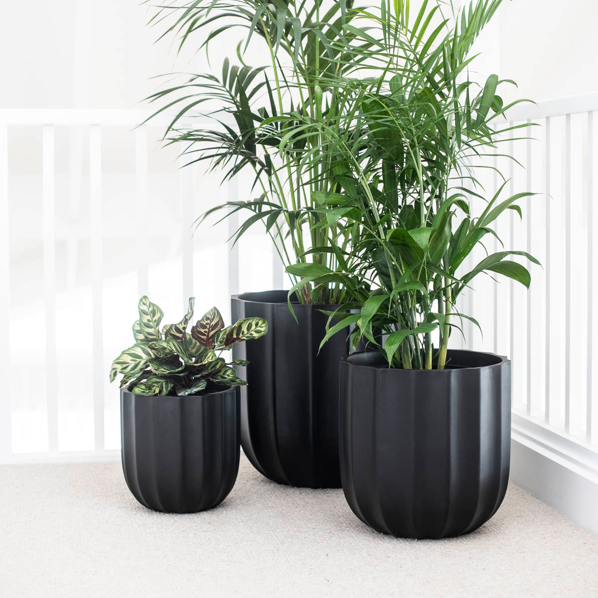 ALTA (set of 3 pots)